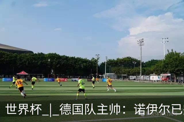 世界杯 | 德国队主帅：诺伊尔已完全康复